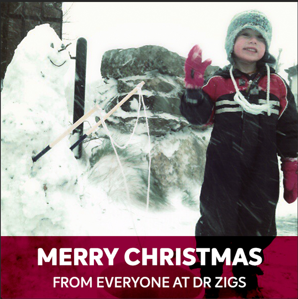 Merry Christmas and Happy New Year from all of us at Dr Zigs