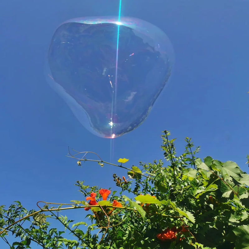 A Dr Zigs Eco Bubble floating in a blue sky above a begnonia plant in bloom