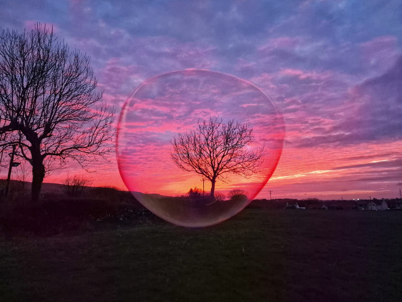 A Dr Zigs Bubble in front of a tree with a pink and blue sunset