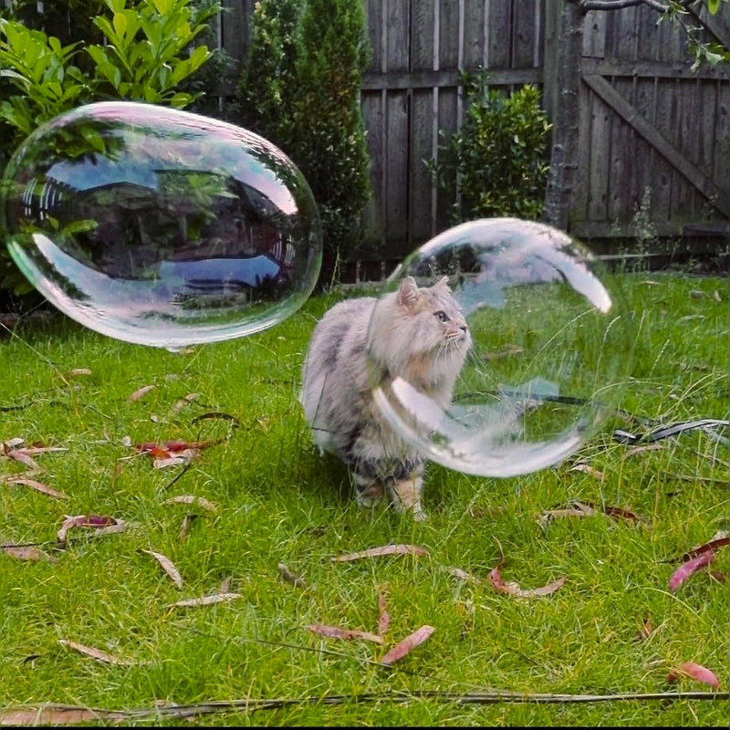 Cat Bubbles Catnip Scented