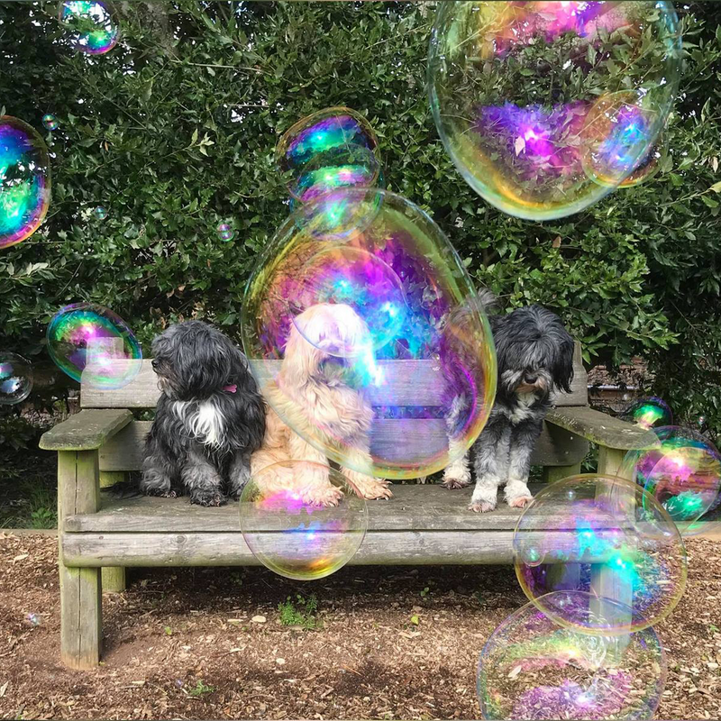 Bubbletastic Dog Bubbles - Scented Bubbles for Dogs