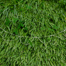 Multi-Loop Bubble Wand (Large)