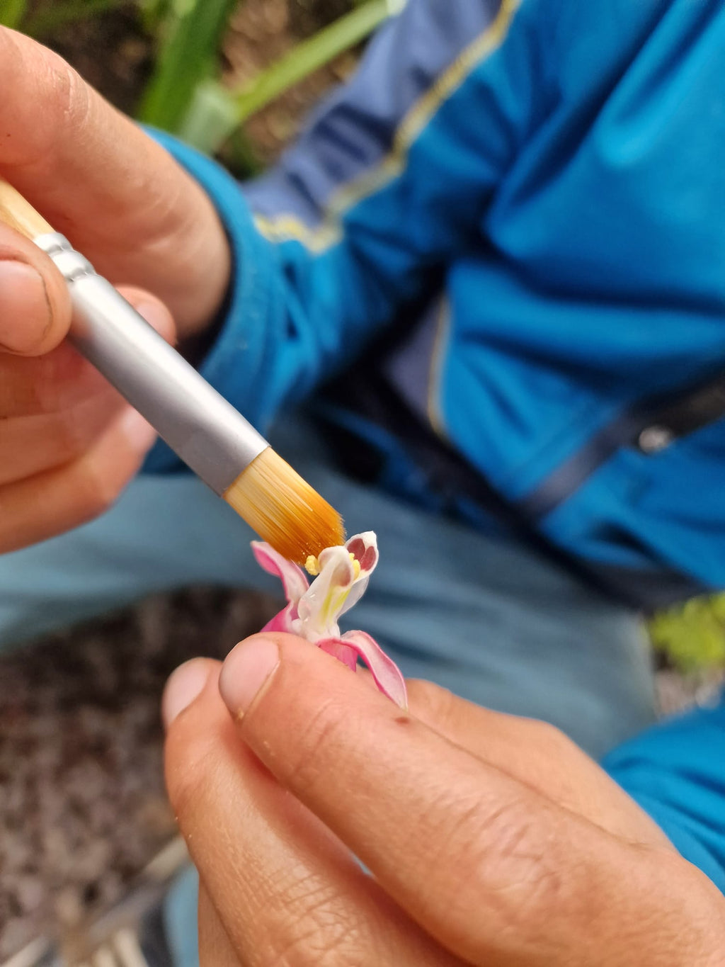 Dr Zigs Bubble Pollinator Kit | Pollinate Flowers with Bubbles!